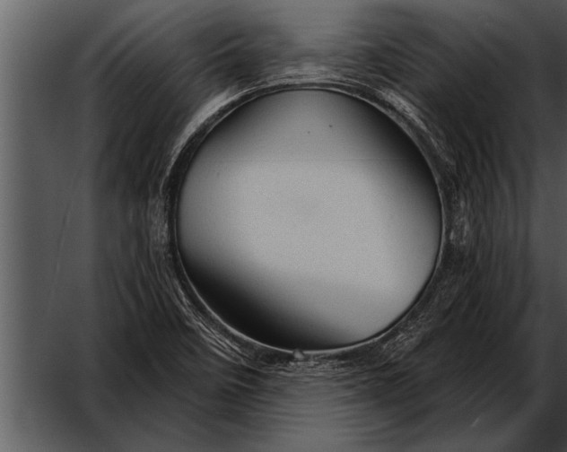 X0000052641458200507160144