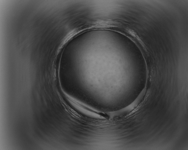 X0000052641459200507160144