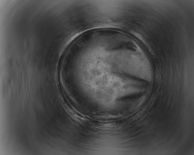 X0000052641460200507160144