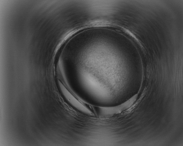 X0000052641461200507160144