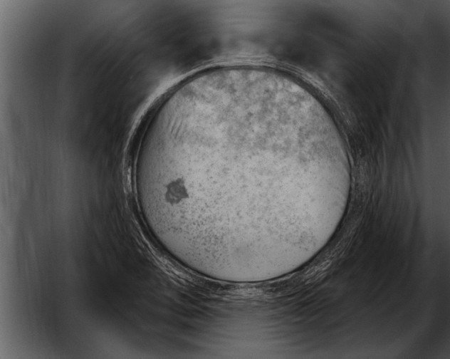 X0000052641462200507160144