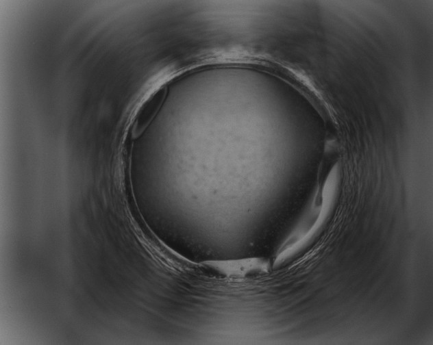 X0000052641463200507160144