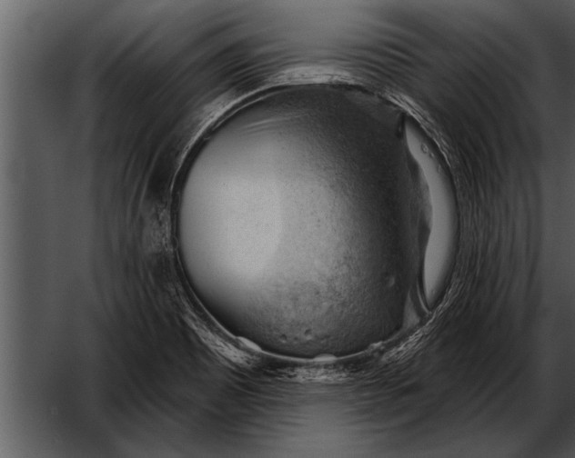 X0000052641465200507160144