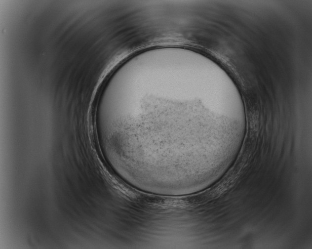 X0000052641466200507160144