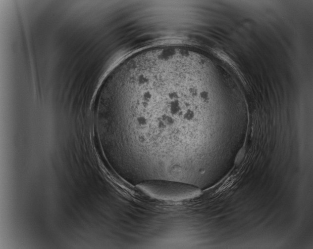 X0000052641467200507160144