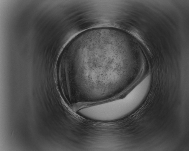 X0000052641468200507160144