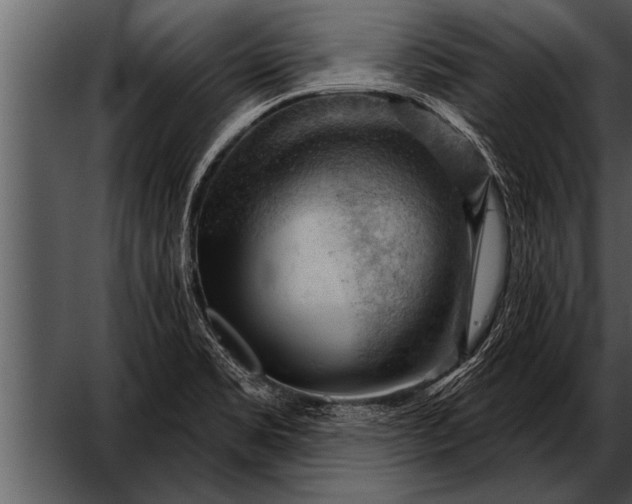 X0000052641469200507160144