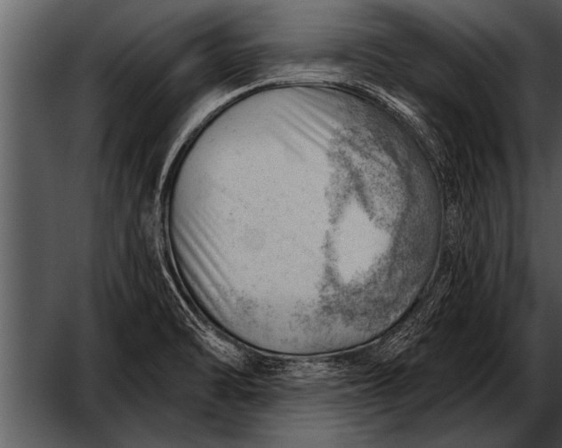 X0000052641470200507160144