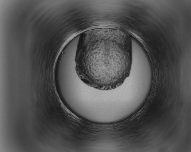 X0000052641471200507160144