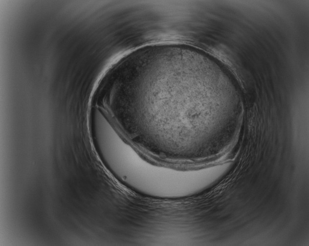 X0000052641472200507160144