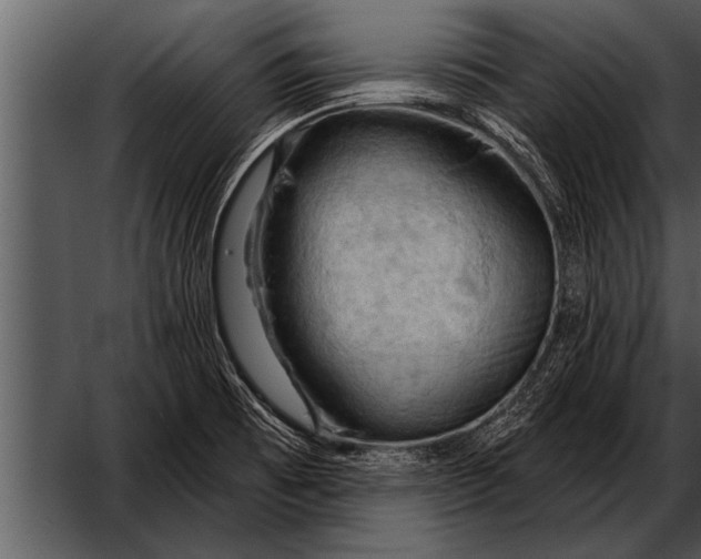 X0000052641473200507160144