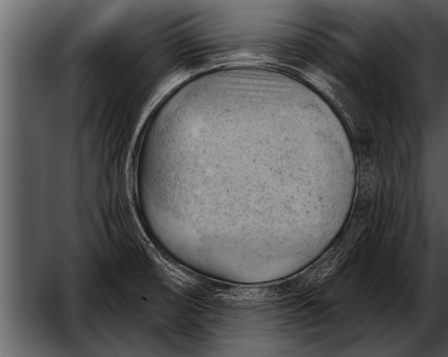 X0000052641474200507160144