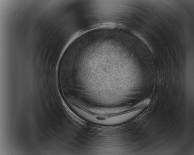 X0000052641475200507160144