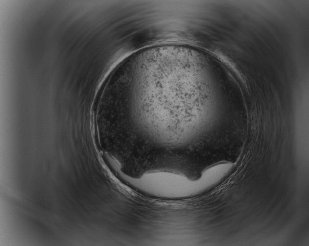 X0000052641476200507160144