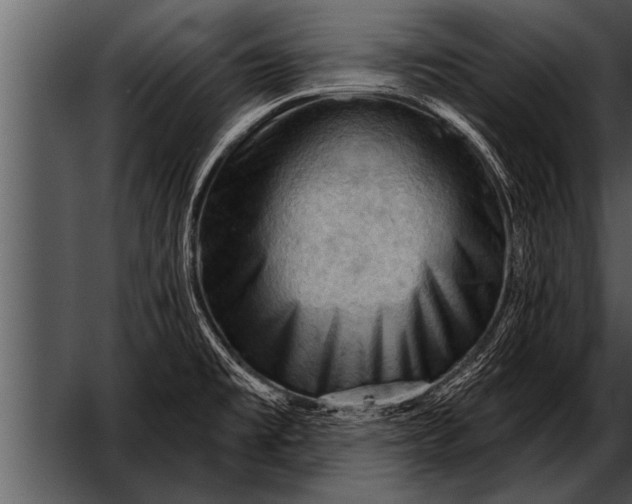 X0000052641477200507160144