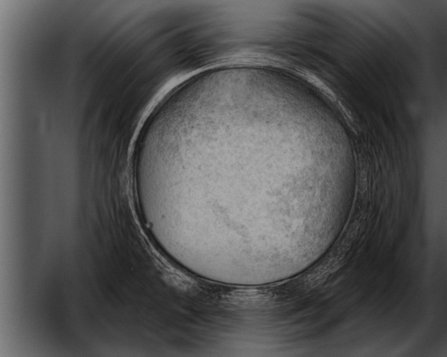 X0000052641478200507160144