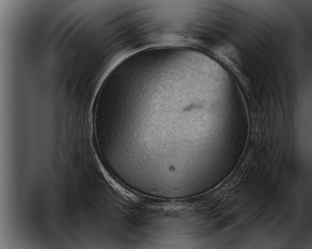 X0000052641479200507160144