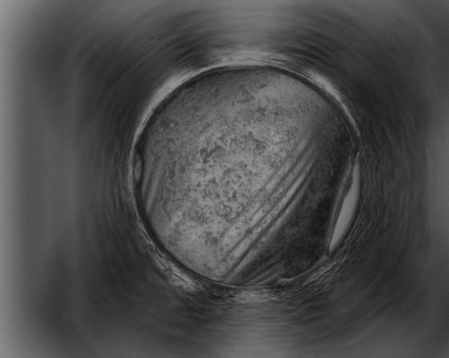 X0000052641480200507160144