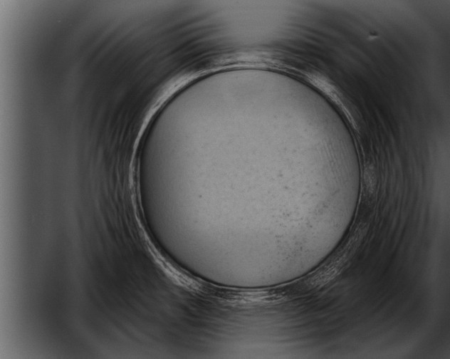 X0000052641482200507160144