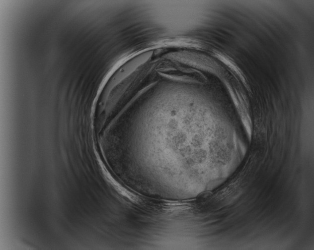 X0000052641483200507160144