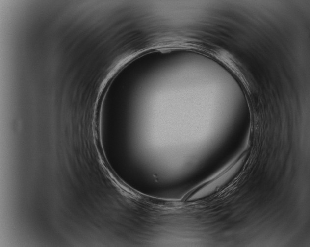 X0000052641485200507160144