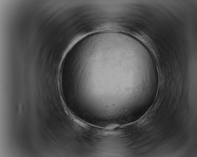 X0000052641486200507160144