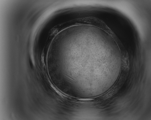 X0000052641487200507160144