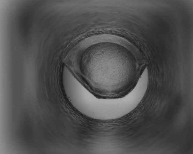 X0000052641489200507160143