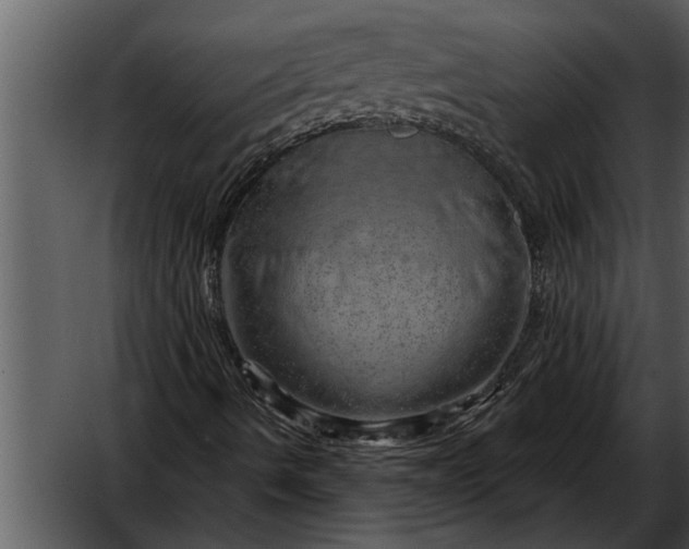 X0000052641490200507160143