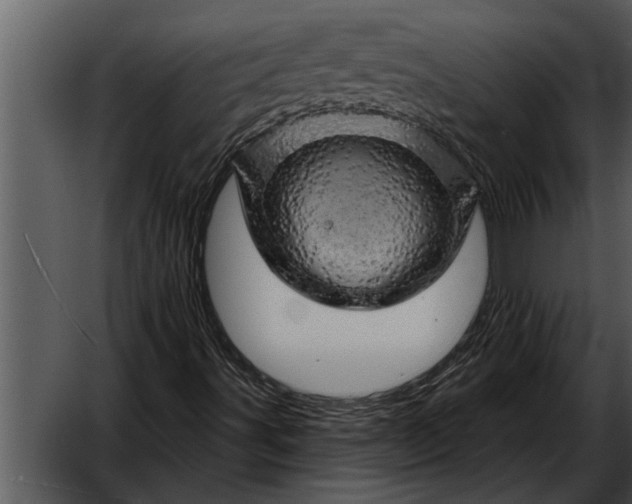 X0000052641491200507160143