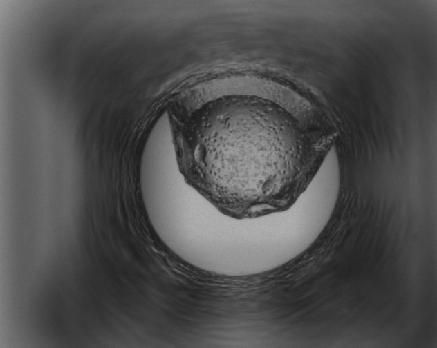 X0000052641492200507160143