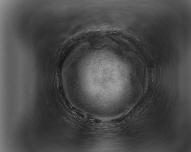 X0000052641493200507160143