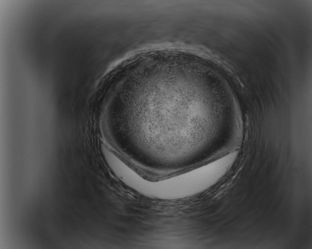 X0000052641494200507160143