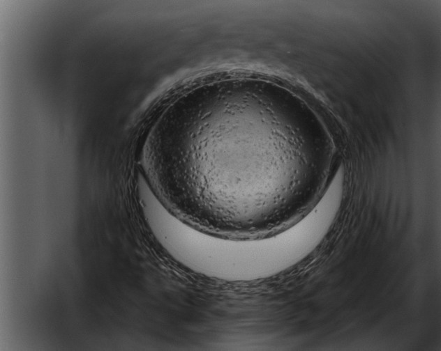 X0000052641495200507160143