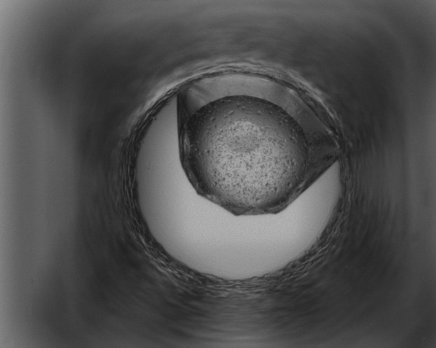 X0000052641496200507160143