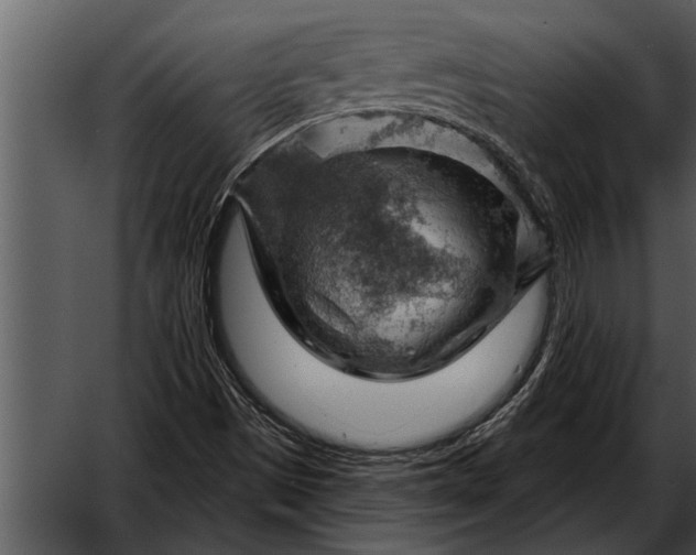 X0000052641497200507160143