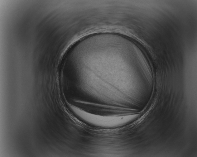 X0000052641498200507160143