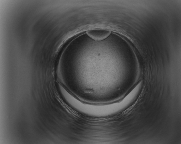 X0000052641499200507160143