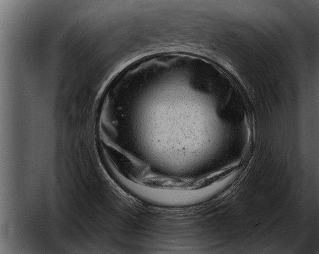 X0000052641500200507160143