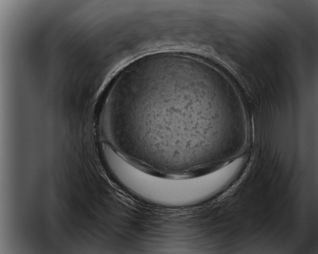 X0000052641501200507160143