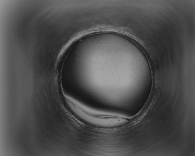 X0000052641502200507160143