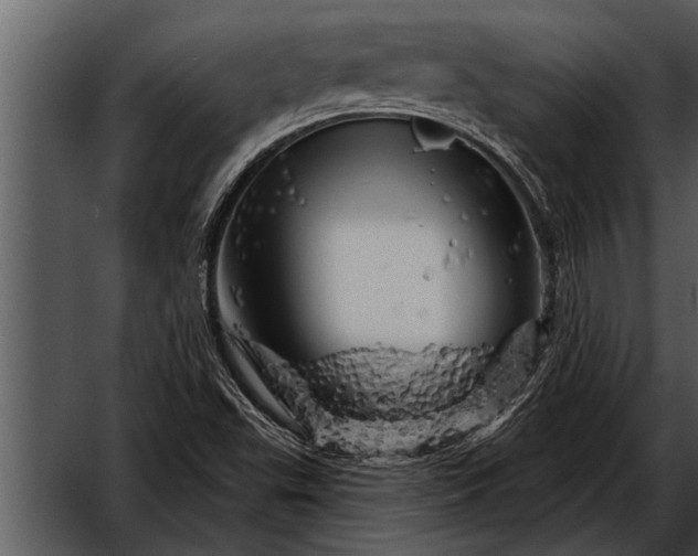 X0000052641503200507160143