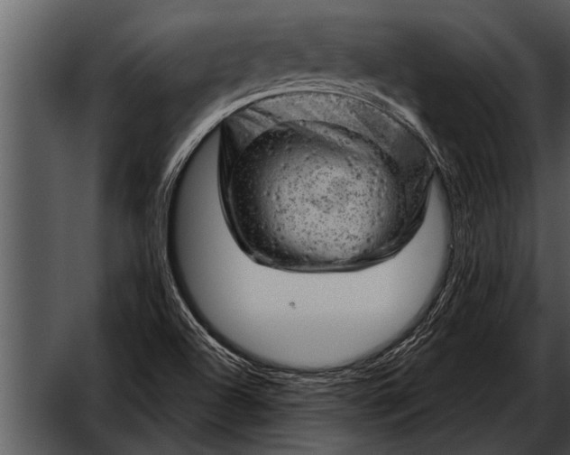 X0000052641504200507160143