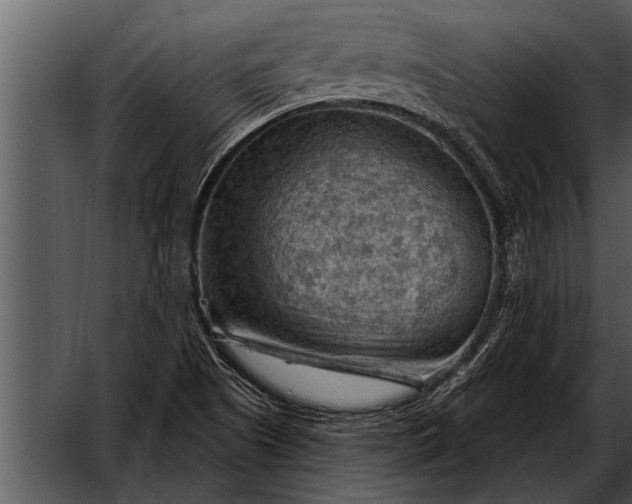 X0000052641505200507160143