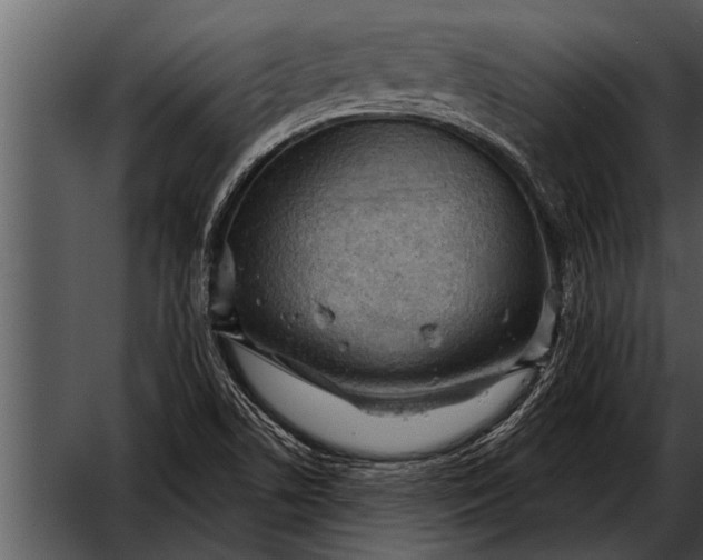 X0000052641506200507160143