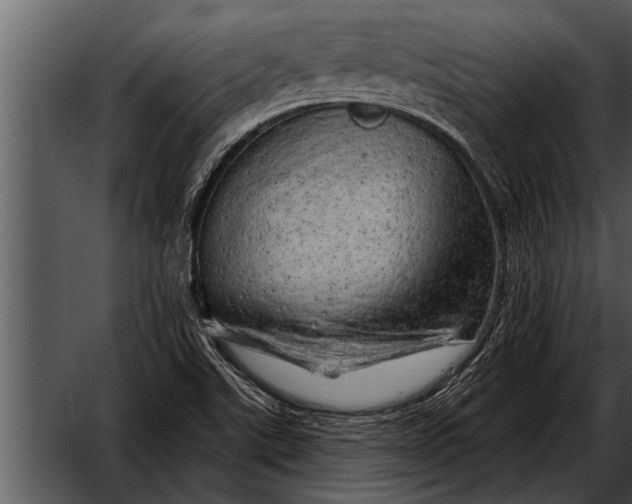 X0000052641507200507160143