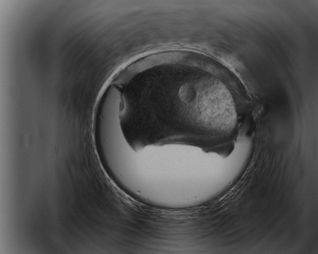 X0000052641508200507160143