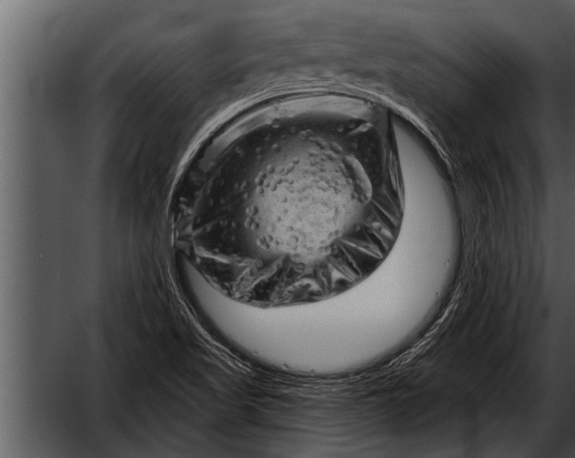 X0000052641509200507160143