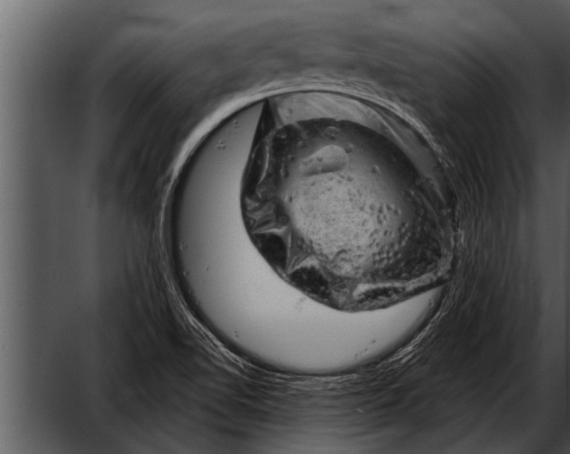 X0000052641510200507160143