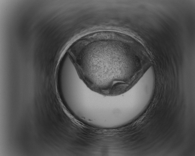 X0000052641511200507160143